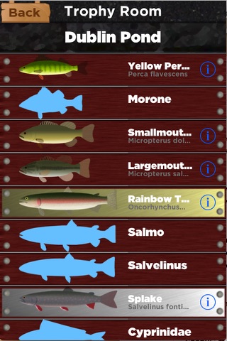 Spring Fishing screenshot 3