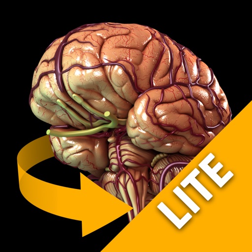 Brain - 3D Atlas of Anatomy Lite icon
