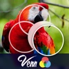 Venn Birds: Overlapping Jigsaw Puzzles