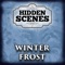 Hidden Scenes is a game similar to a jigsaw puzzle where you swap and flip the pieces to reveal the hidden scene