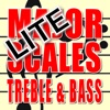 Major Scale Treble and Bass Clef Lite