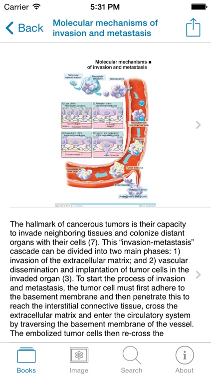 Miniatlas Colon Cancer screenshot-4