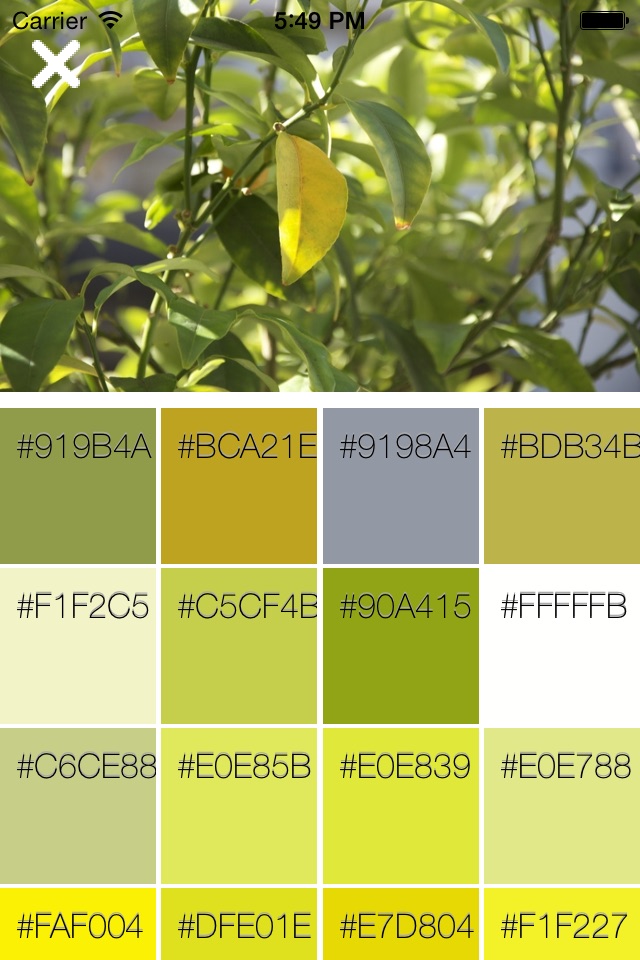 Palette - Colors From Any Image screenshot 4