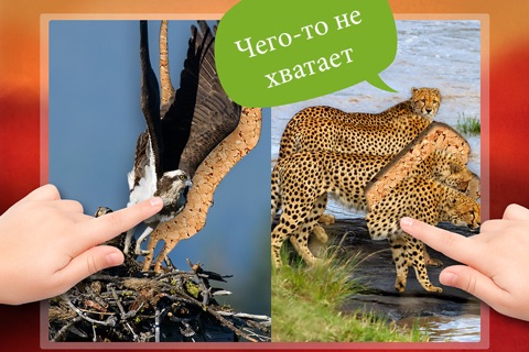 Play with Wildlife Safari Animals Jigsaw Game photo for toddlers and preschoolers screenshot 4