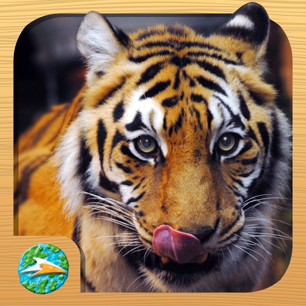 Tigers, Lions, Cheetahs and Other Big Cats by SeaWorld Kids