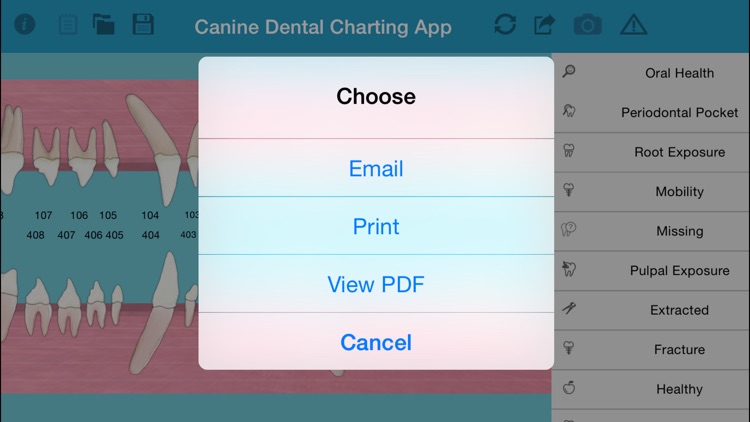 Pet Dental Charting- For veterinarians and technicians, Digital solution for dental charting screenshot-4