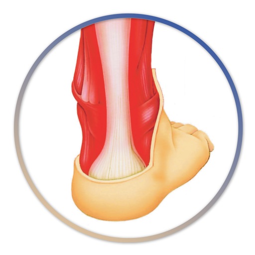 Miniatlas Musculoskeletal System iOS App