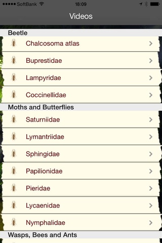 BugPedia screenshot 3