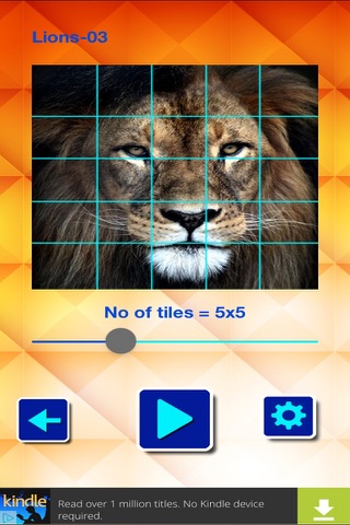 Lions and Big Cats - Puzzle Slide screenshot 3