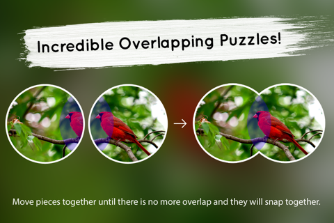 Venn Birds: Overlapping Jigsaw Puzzles screenshot 2