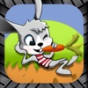 Fancy Rabbit Runner Free