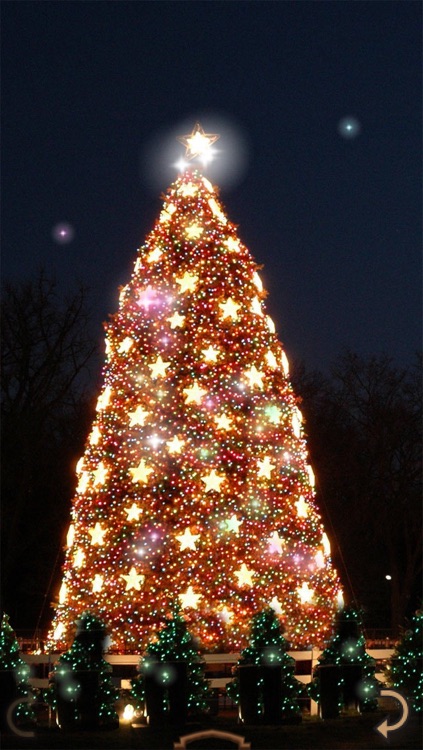 Xmas Lights Everywhere screenshot-0