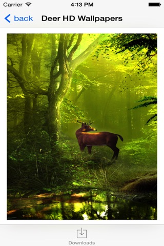 Deer HD Wallpaper for iPhone screenshot 3