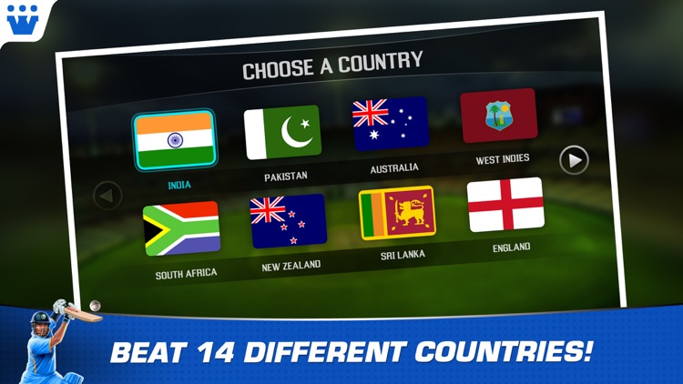 Master Blaster T20 Cricket