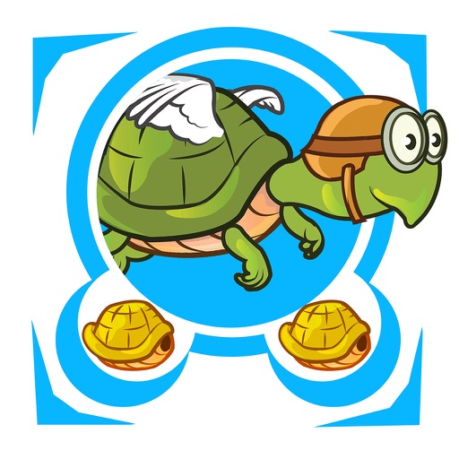 TurtlesOcean iOS App