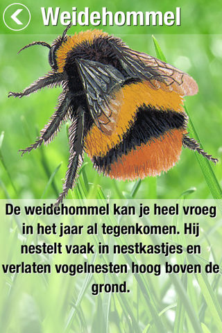 Zoekkaart Hommel screenshot 3