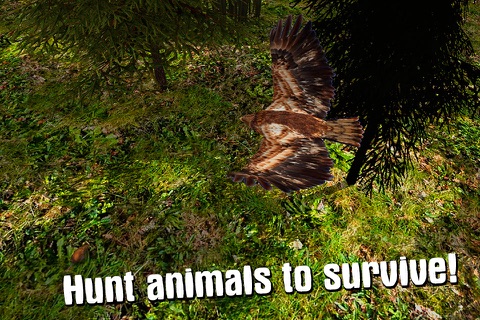 Wild Eagle: Bird Survival Simulator 3D screenshot 2