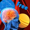 The Brain Ultimate Challenge FREE