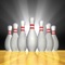 iBowlStats is the leading bowling scorekeeping and statistical app available on iOS devices