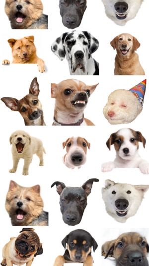 Dog Emojis(圖2)-速報App