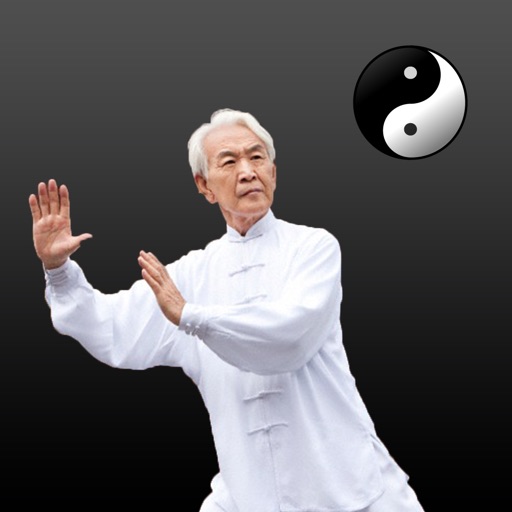 Tai Chi Guide - Everything You Need To Know About Tai Chi ! icon