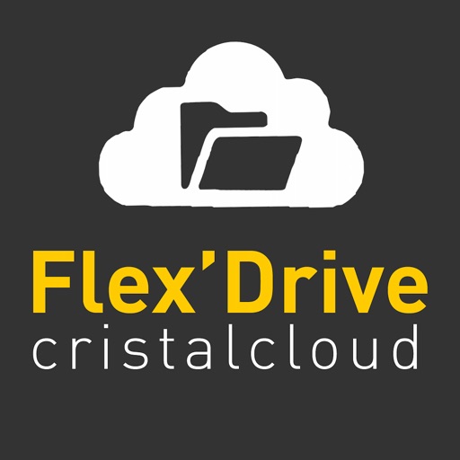 FlexDrive Icon