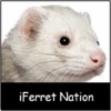 iFerret Pet Care