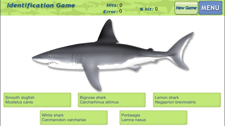 Sharks & Rays - Identification Guide screenshot-3