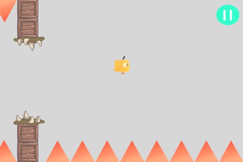 A Bird Named Spike - HD Birds and Spikes screenshot 2