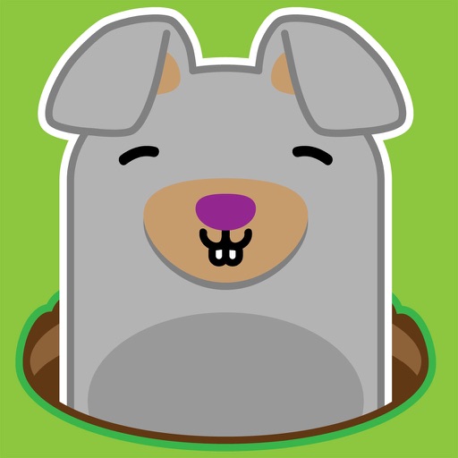 Whack a Rabbit iOS App