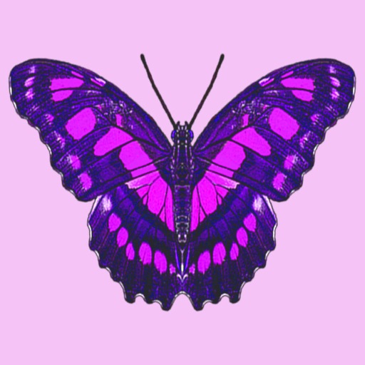 Butterfliestry Icon