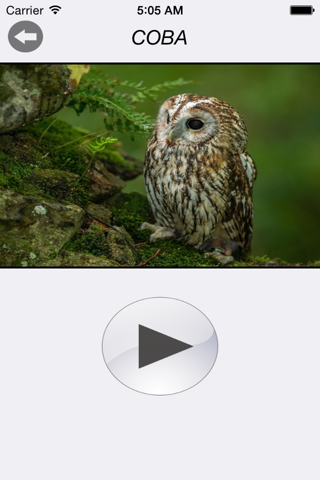 Птицы России - золотые голоса родной природы free version