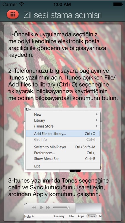 Türkü Sepeti Zil Sesleri screenshot-4