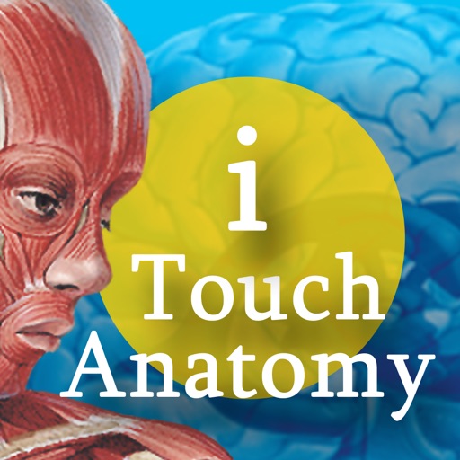 i Touch Anatomy