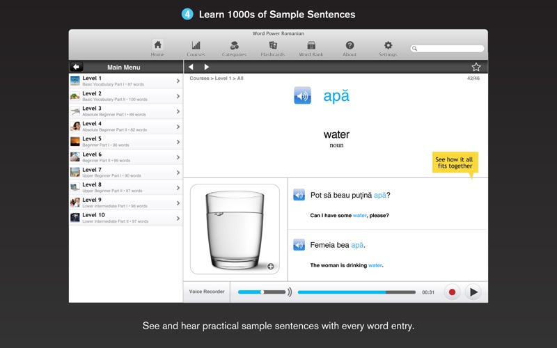 WordPower Learn Romanian Vocabulary by InnovativeLanguage.com thumbnail 4
