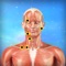 The Muscle Trigger Points Massage Therapy iPhone App is an extensive compilation of common trigger points in a human body and their related referral patterns