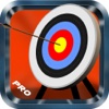 Bow And Arrow Archery Tournament PRO