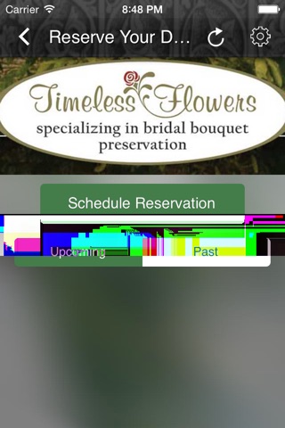 Timeless Flowers screenshot 3