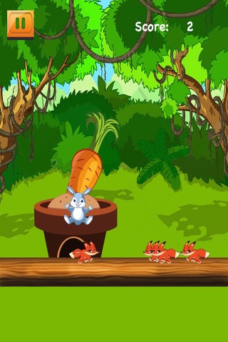 A Fun Forrest Bunny Bounce - Magical Pet Jump Challenge FREE screenshot 2