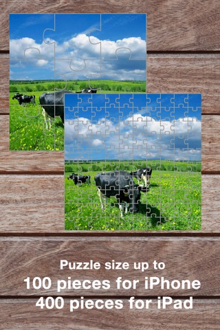 Jigsaw Speedy screenshot 4