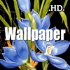 Amazing Cool Wallpaper Collection