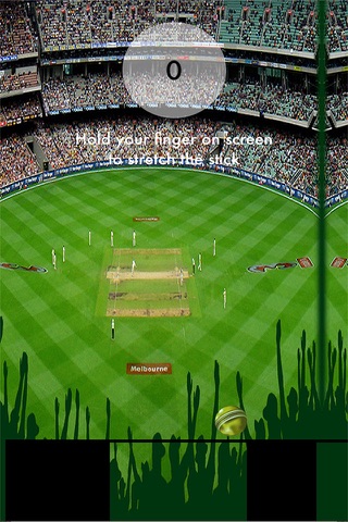 Cricket Madness 2015 Free - Make Your Body Warm With Exciting Game Before World Cup screenshot 2