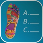 Reflexology Quiz - zones