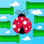 Flap Flap LadyBird