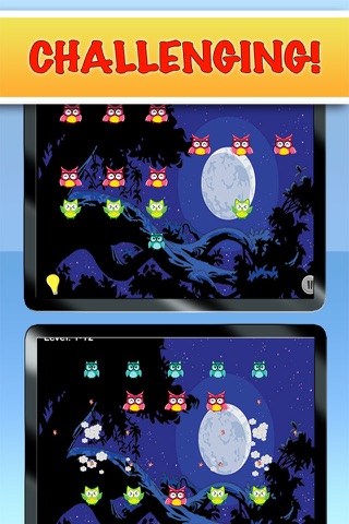 Owl Hoot - Free Puzzle Game For Kids - Pop The Owls! screenshot 3