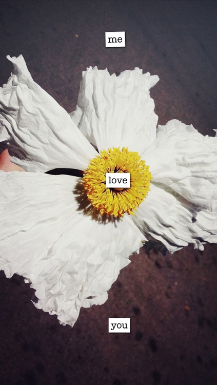 Poetics - create, write and share visual poetry