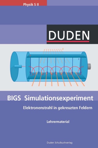 Electron beam in crossed fields_T screenshot 3