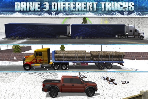 Truck Parking Simulator - Ice Road Truckers Edition screenshot 3