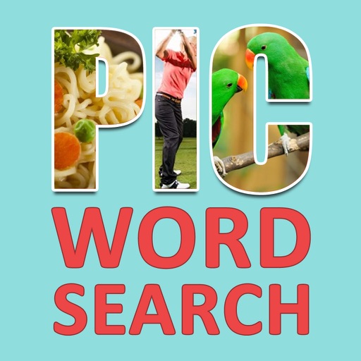 Pic Wordsearch. Icon