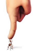 Ant | نمل pour PC
